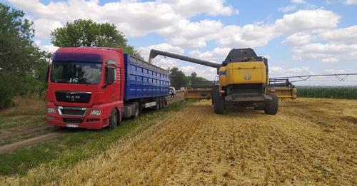 Еврокомиссия ждет шагов от Киева по контролю за экспортом зерна и настаивает на компромиссе