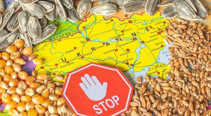 Зерновая война – Польша, Венгрия и Словакия ответили на иск Украины в ВТО