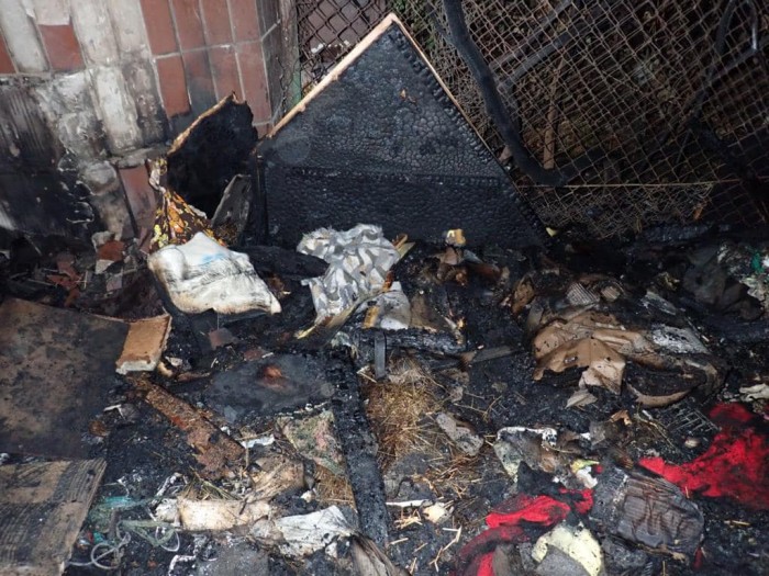 Наслідки пожежі у притулку для тварин у Києві, фото: Поліція Києва