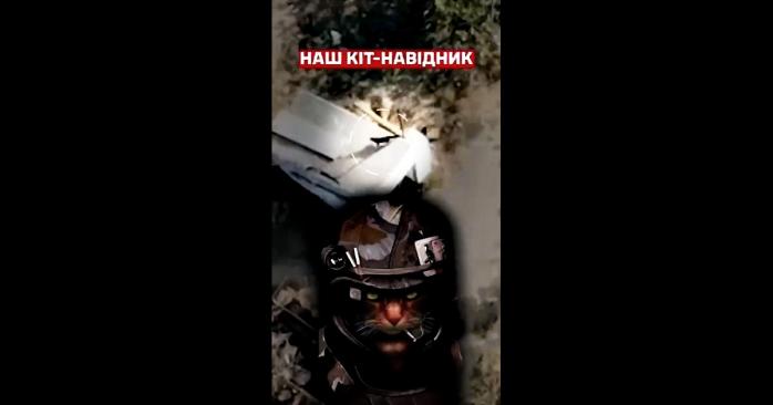 Український кіт «навів» удар по схованці рашистів, скріншот відео
