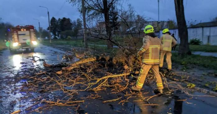 Негода в Україні наробила біди. Фото: МВС