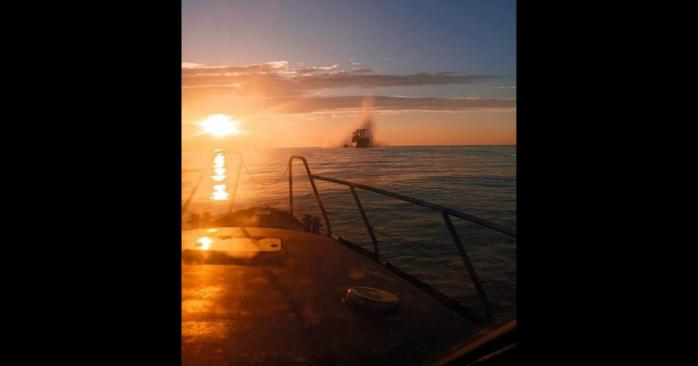 Цивільне судно під прапором Панами підірвалося на ворожій міні у Чорному морі, фото: Сили оборони півдня України