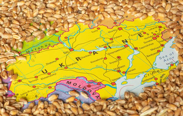 Польша не отменит запрет на импорт зерна из Украины. Фото: