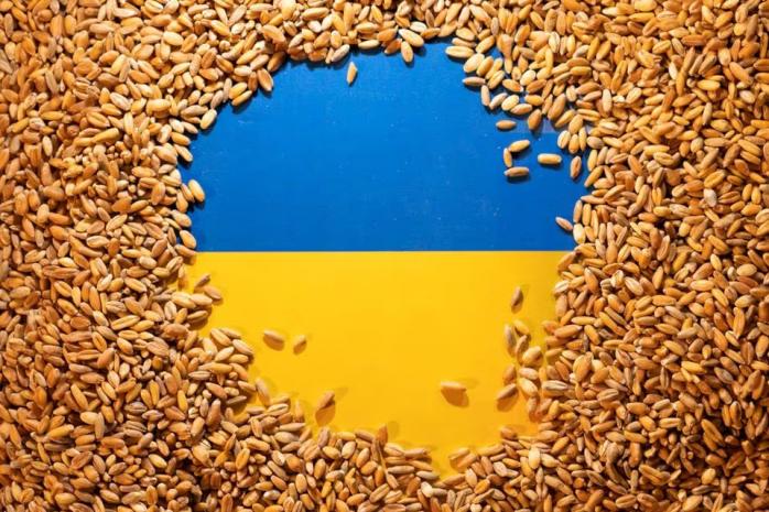 Пять стран-соседок Украины требуют у Еврокомиссии вернуть пошлину на украинское зерно