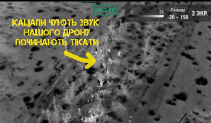 FPV-дрон ВСУ выбил окупантов с позиции, скриншот видео