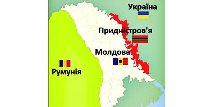 Що символізує ялинка на різдво