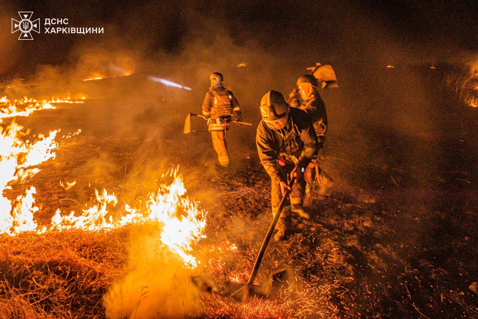 Велика пожежа сухої трави виникла під Харковом. Фото: ДСНС
