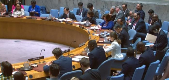 Во время заседания Совбеза ООН, скриншот видео