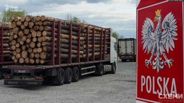 Польські митники пропускають у ЄС підсанкційну деревину з білорусі з підробленими документами