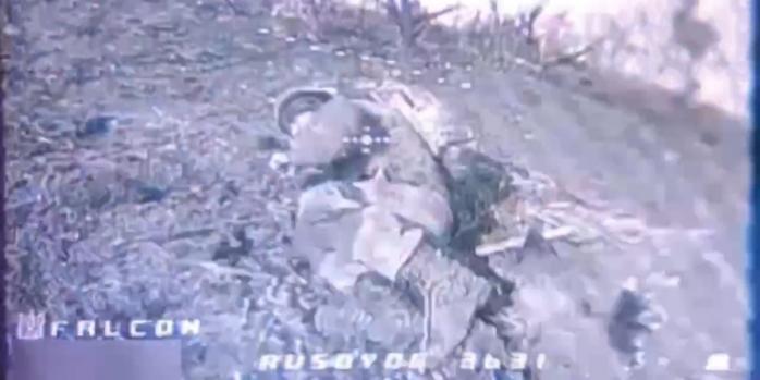 Знищення російського загарбника, скріншот відео