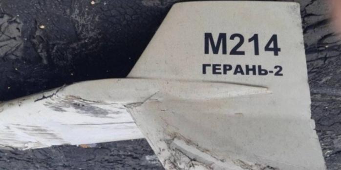 ВСУ за март уничтожили более 300 российских дронов, фото: «Укринформ»