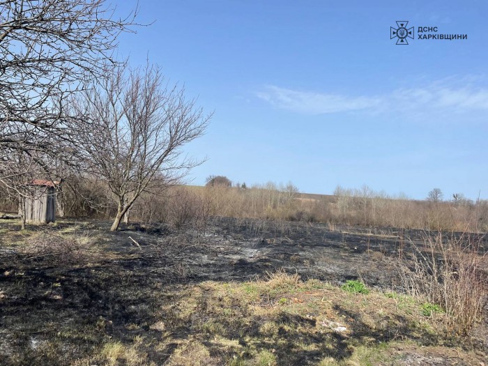 На Харківщині внаслідок випалювання сухої трави загинула жінка, фото: ДСНС