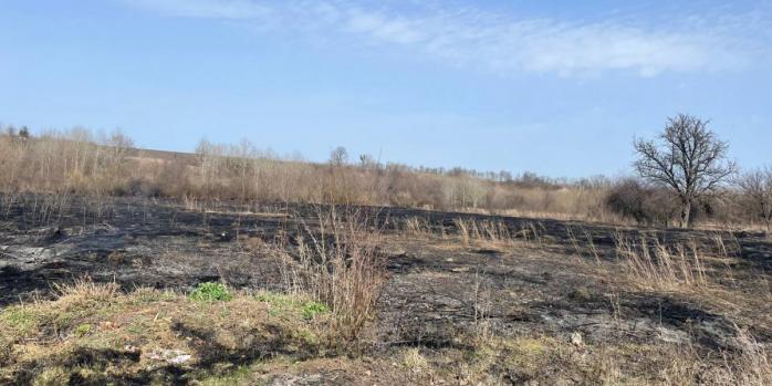 На Харьковщине в результате сжигания сухой травы погибла женщина, фото: ГСЧС