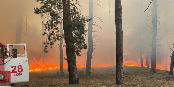 Російські обстріли спричинили масштабні лісові пожежі, фото: ДСНС 