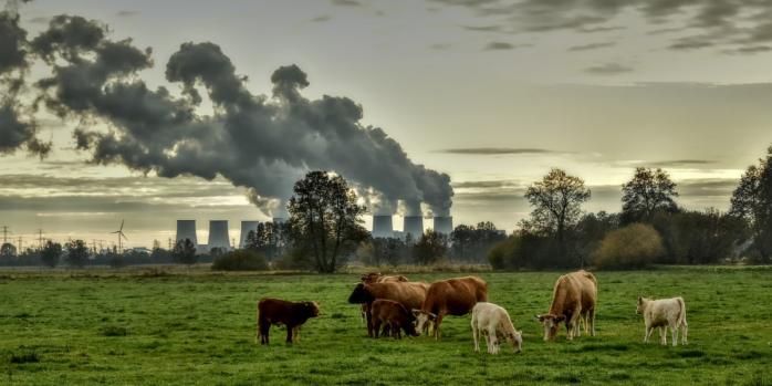 Выбросы закиси азота в мире значительно возросли