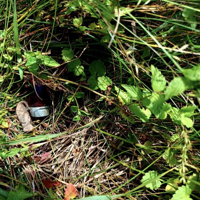 Сотні тисяч вибухобезпечних предметів вже знешкодили сапери ДСНС, фото: ДСНС