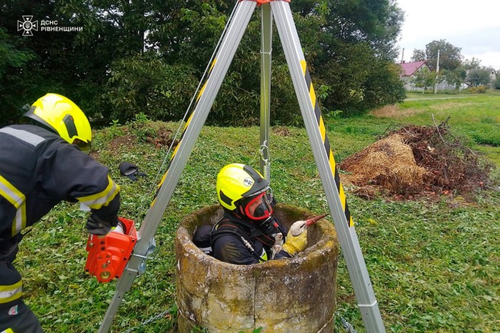 Порятунок лелеки на Рівненщині, фото: ДСНС