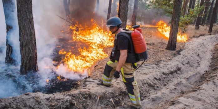 На Донеччині та Харківщині локалізували масштабну лісову пожежу, фото: ДСНС