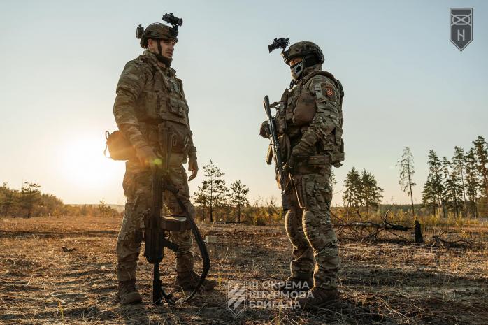 Россияне прятались, но после прилетов "зеленка" выгорела дотла - видео от Третьей штурмовой