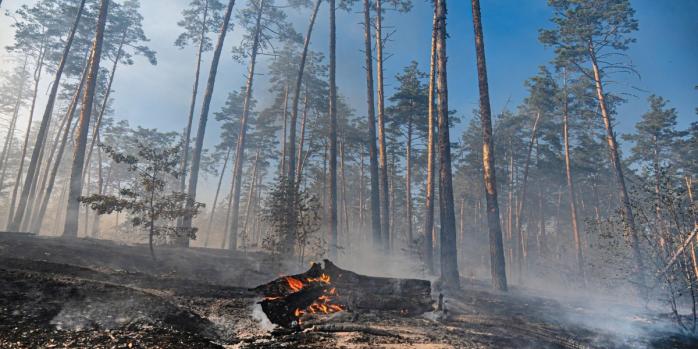 У Києві за добу спалахнули 13 пожеж в екосистемах