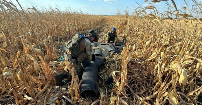 Збитий російський безпілотник, фото: Національна поліція