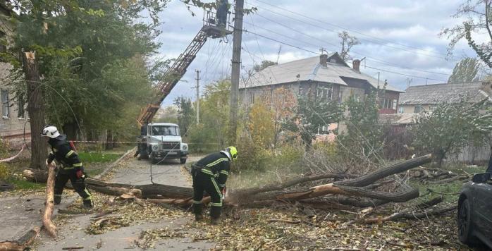 Негода знеструмила низку населених в Україні, фото: ДСНС