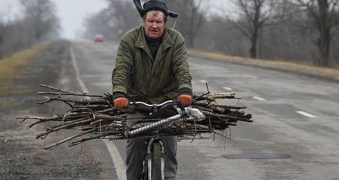 Штраф за дрова выписали жителю Николаевщины. Фото: 