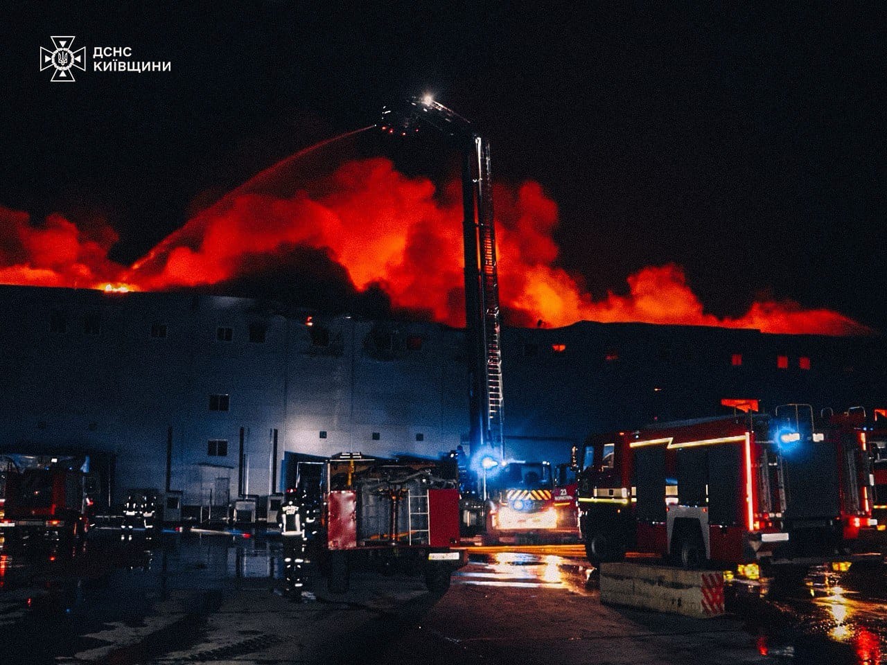 Пожежа на Київщині. Фото: ДСНС