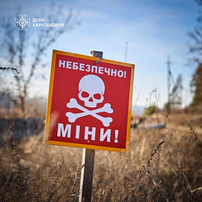 Розмінування Харківщині, фото: ДСНС