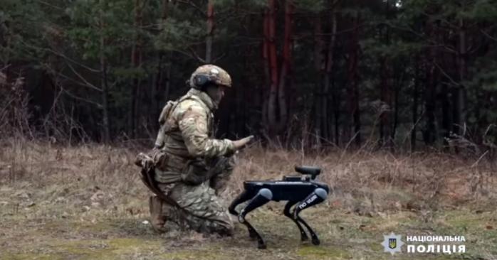 Поліцейський робопес «BAD-2 robotic». Скріншот з відео