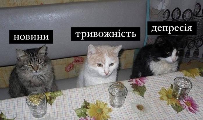 Трамп не поедет в Москву на 9 мая