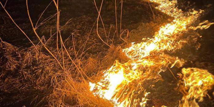 Спасатели ликвидировали пожары сухостоя в Закарпатье и Львовской области, фото: ГСЧС