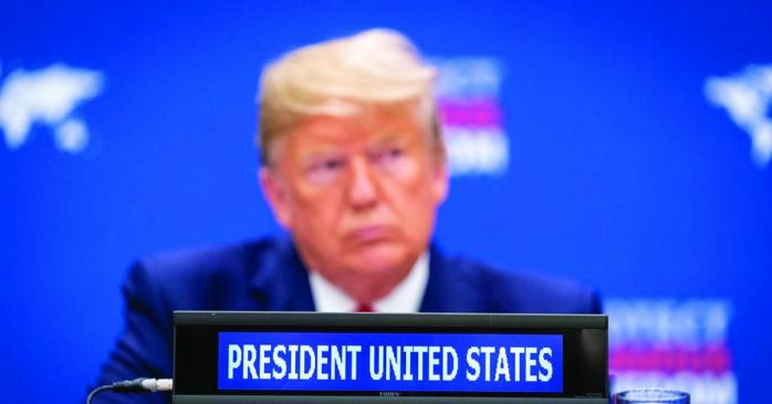 Дональд Трамп, фото: RawPixel