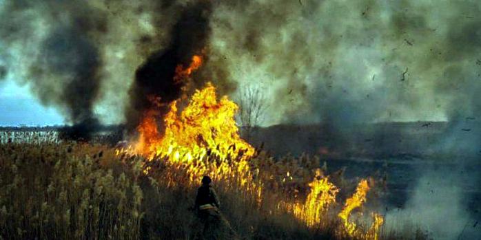 Наслідки російського обстрілу Херсонщини, фото: ДСНС