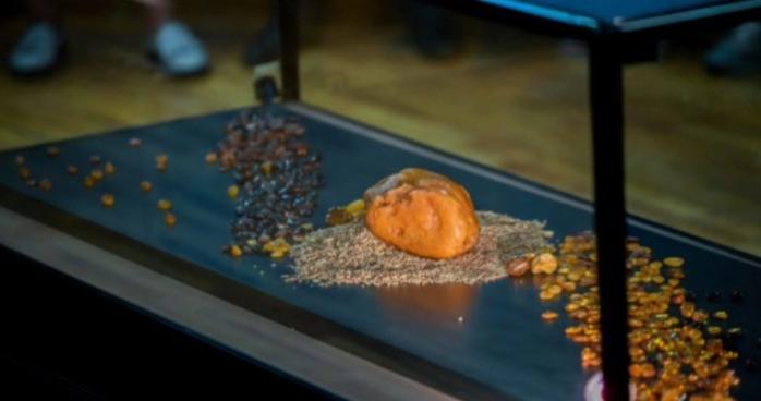 Украина показала Польше гигантский самородок из янтаря, спасенный в Буче