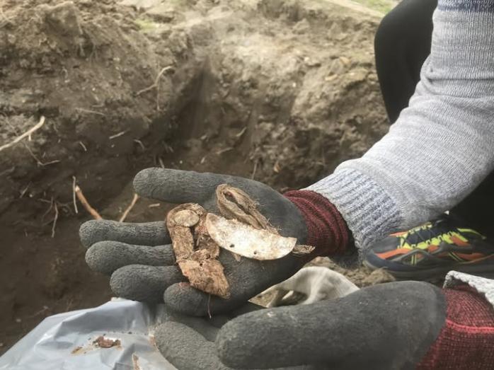 В Україні виявили останки 1700 солдатів вермахту, фото – Volksbunds Deutsche Kriegsgräberfürsorge