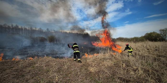 Майже три сотні пожеж спалахнули в екосистемах України за добу, фото: ДСНС