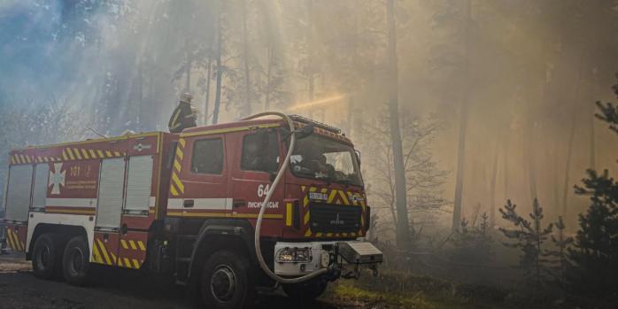 Пожежа у Балаклійському лісництві на Харківщині, фото: ДСНС