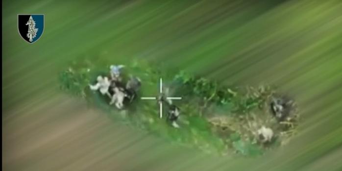 CCO взяли в плен рашистов на Курщине, скриншот видео