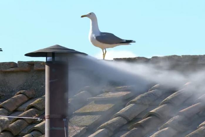 Над Сикстинской капеллой появился белый дым — Папу Римского избрали