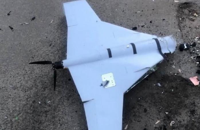 ударні БПЛА дальнього радіуса дії знищили 100 "шахедів" за допомогою дронів-перехоплювачів