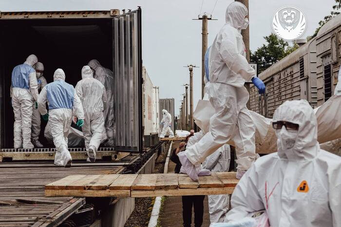 Відбувся черговий етап репатріаційних заходів, фото: КШППВ