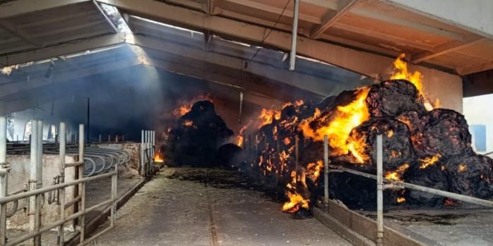 Последствия российского авиаудара в Харьковской области, фото: ГСЧС