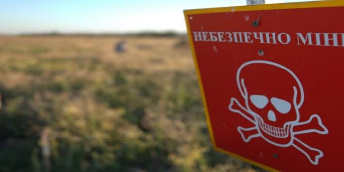 Украина планирует выйти из договора о запрете противопехотных мин, фото: «Главком»