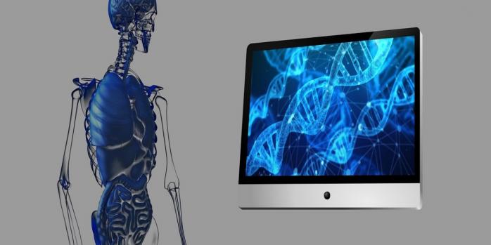 Причину большей уязвимости людей к раку установили ученые