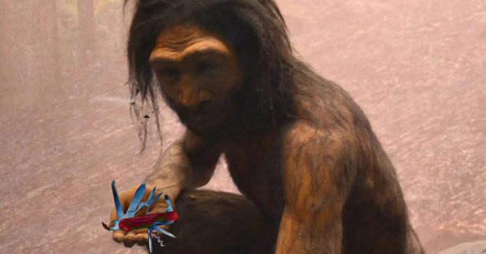 Доисторический «швейцарский нож» обнаружили археологи, фото: «Правда.ру»