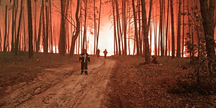 Масштабные лесные пожары вспыхнули в Харьковской области, фото: ГСЧС