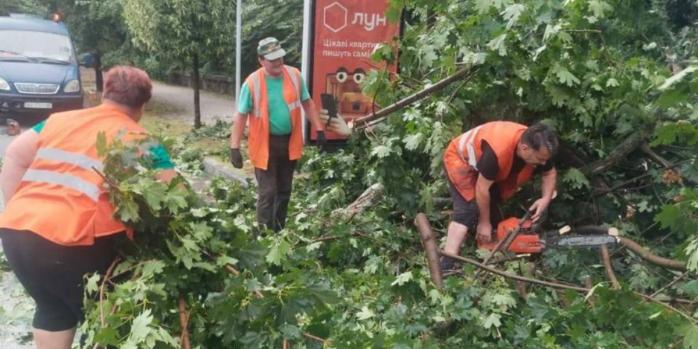 У Києві 22 липня через буревій та грозу постраждали люди, фото: КМВА