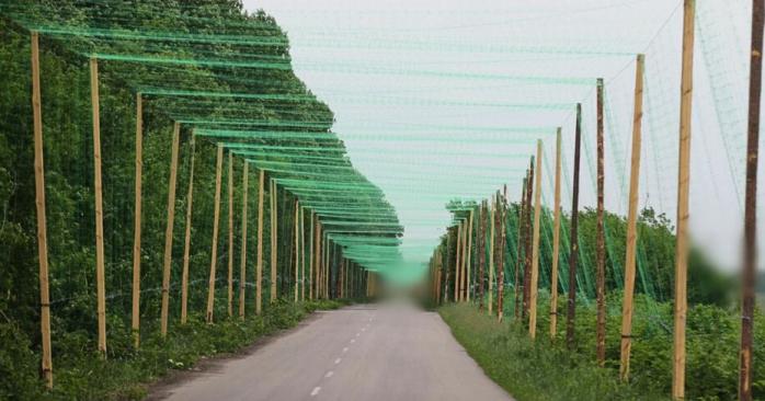 В Запорожской области построили первый специальный антидроновый тоннель. Фото: 