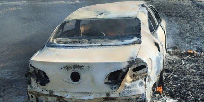 Во Львовской области пожар сухостоя охватил площадь 1,3 тыс. кв. м, фото: ГСЧС